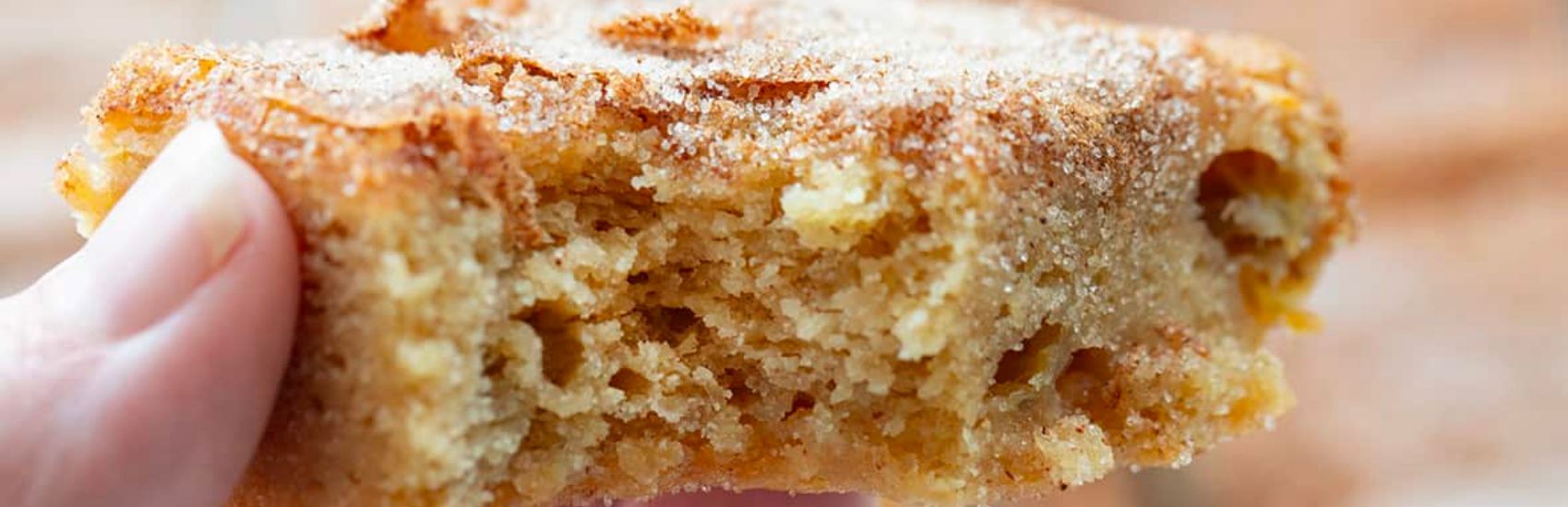 Banana Snickerdoodle Bars 0