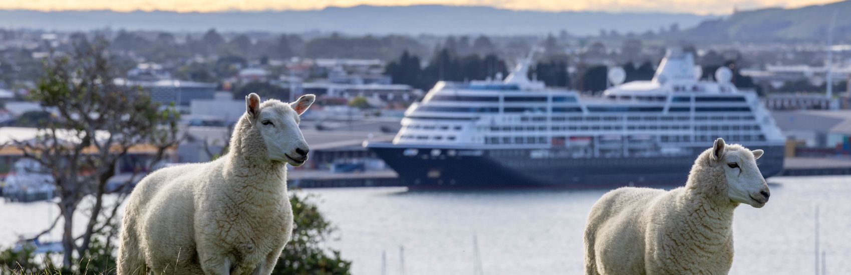 Embark on a Journey of Discovery with Azamara's Summer Sale! 1